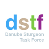 dstf logo2